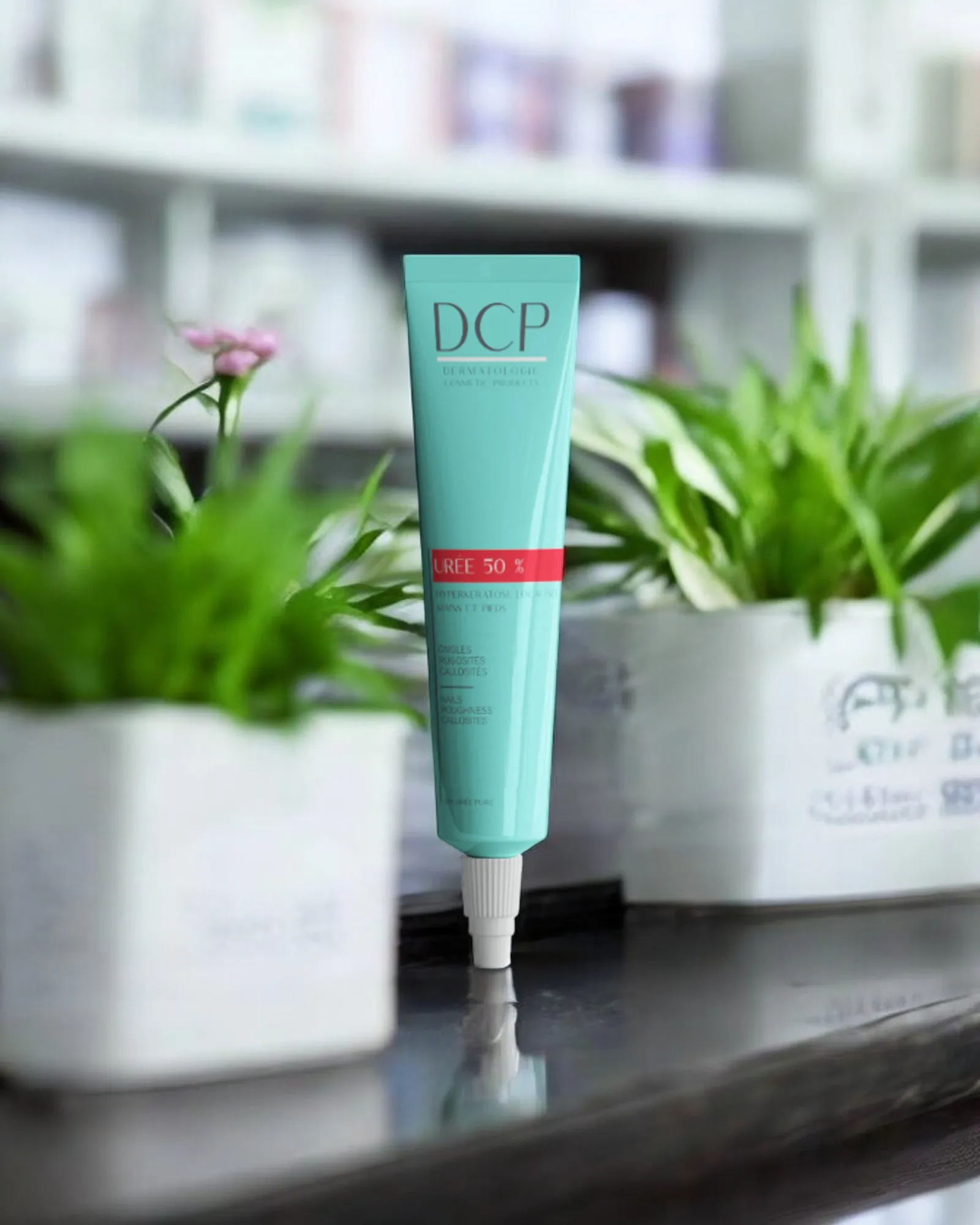 DCP - URÉE 50%