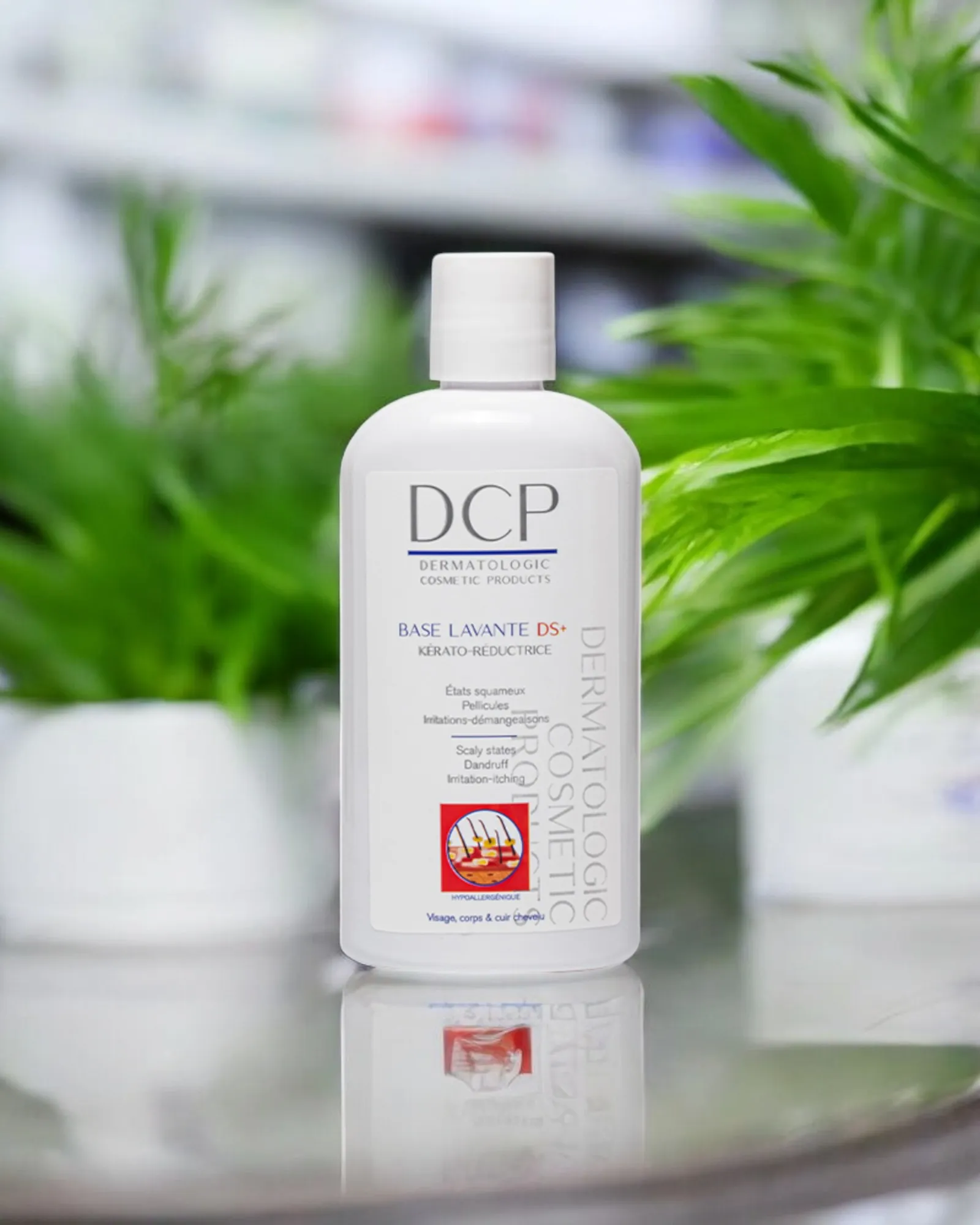 DCP - DS+ BASE LAVANTE