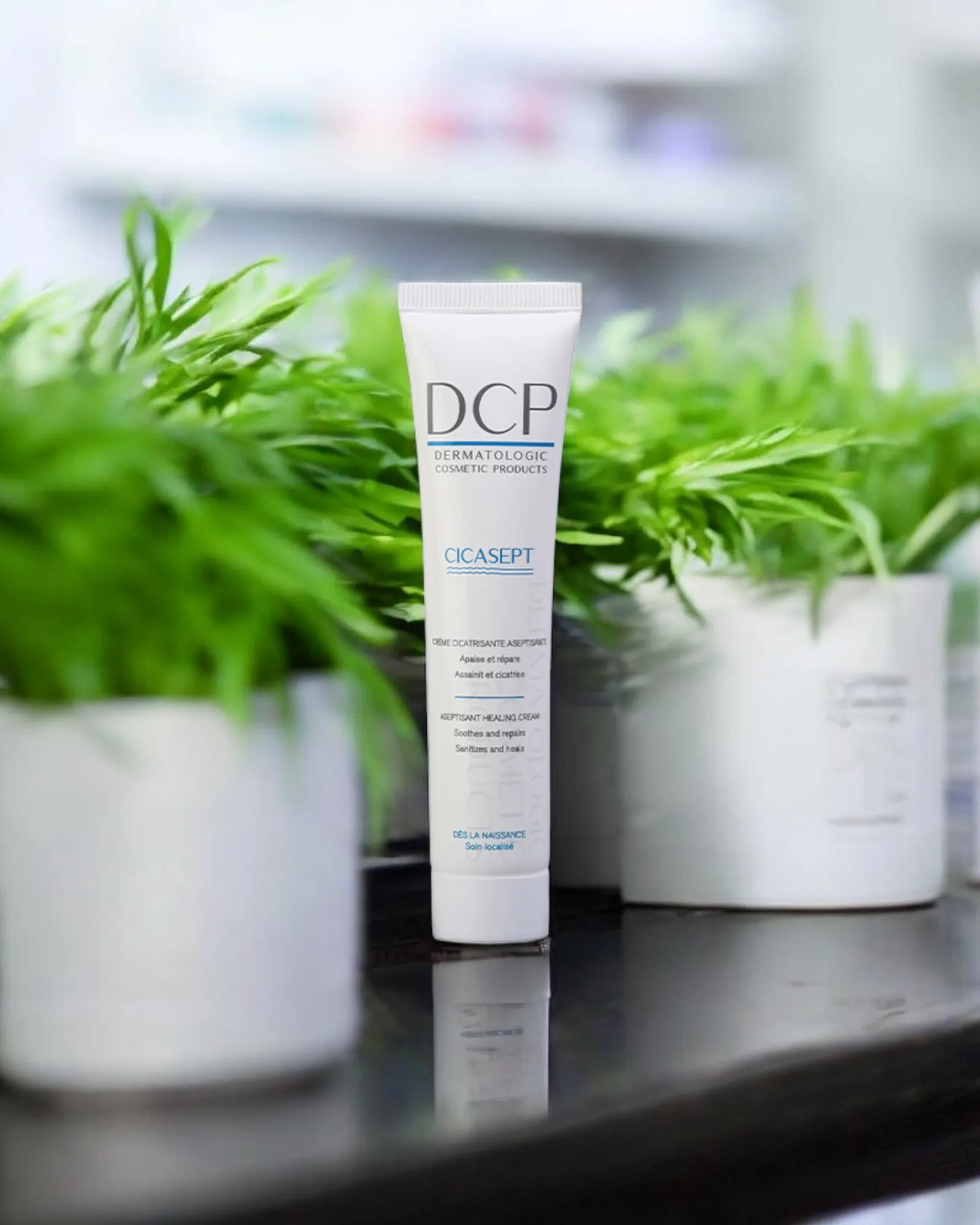 DCP - CICASEPT