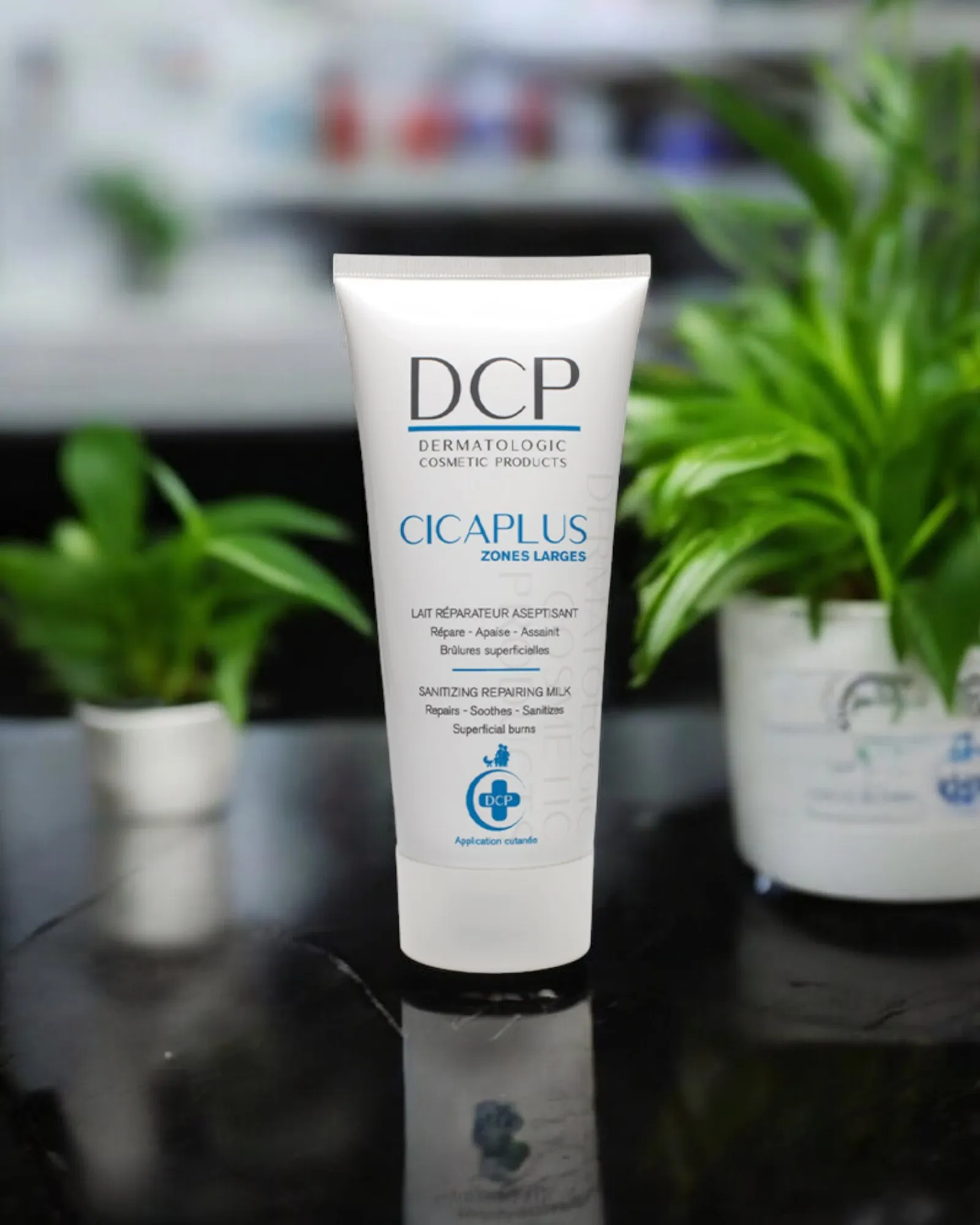 DCP - CICAPLUS ZONES LARGES
