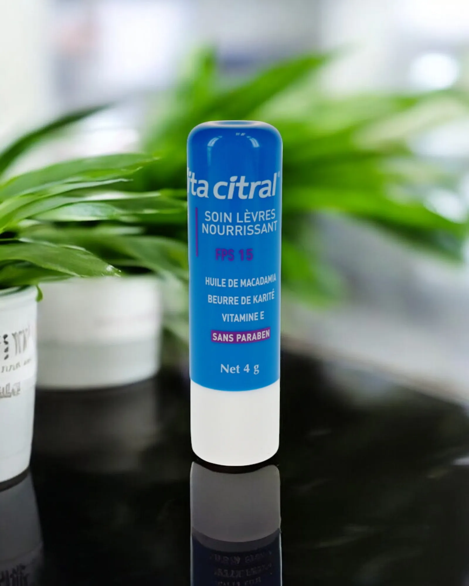 VITA CITRAL - STICK LEVRES