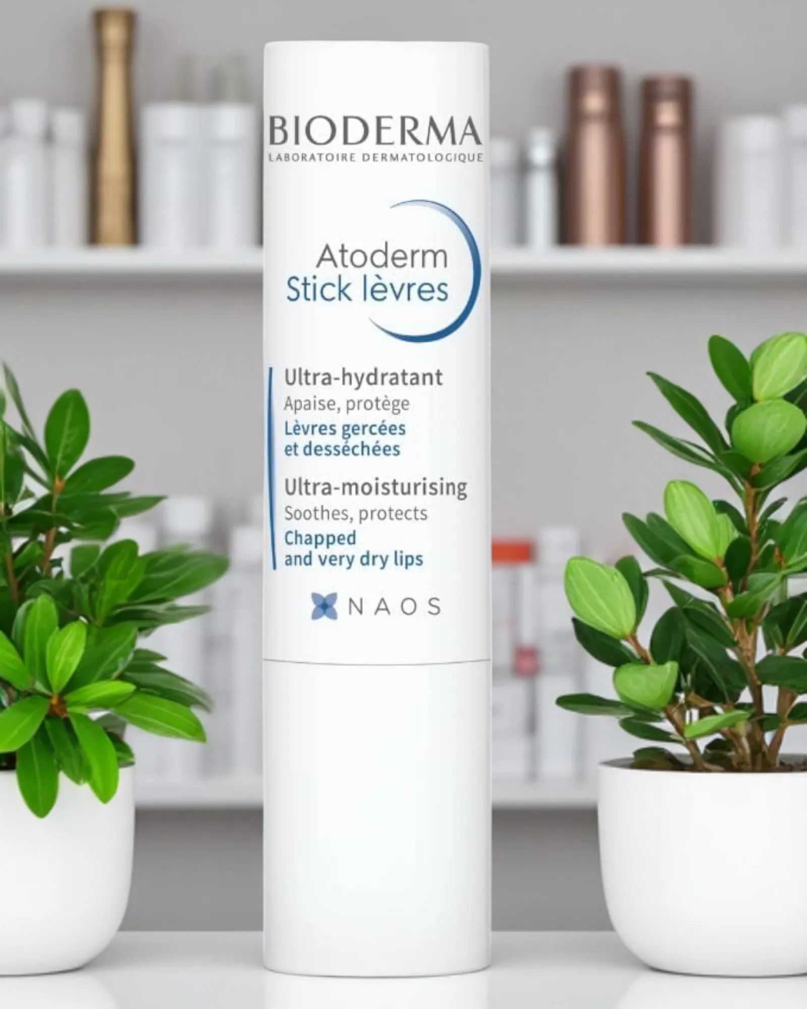 ATODERM STICK LÈVRES 4 GR