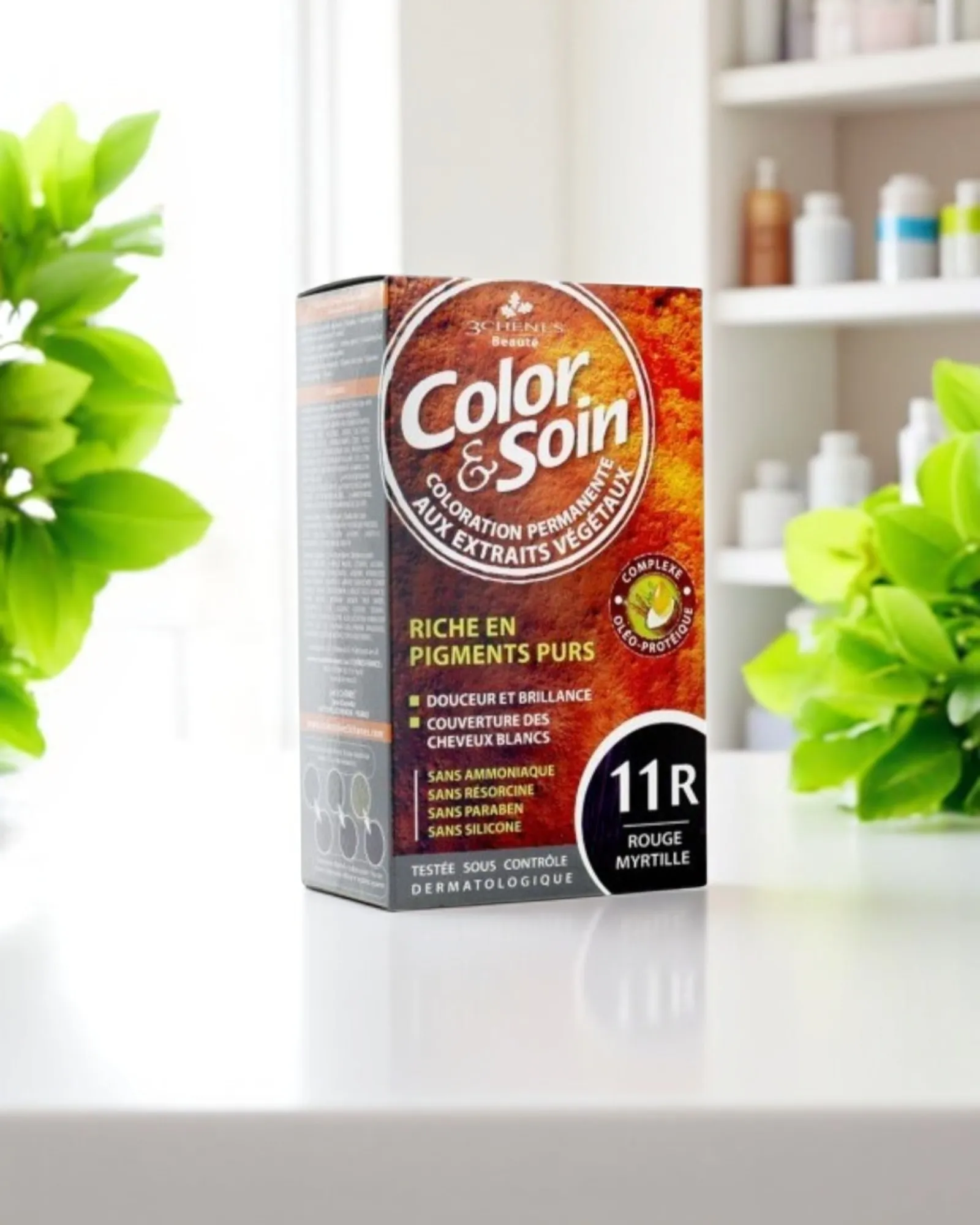 COLOR&SOIN ROUGE MYRTILLE 11R