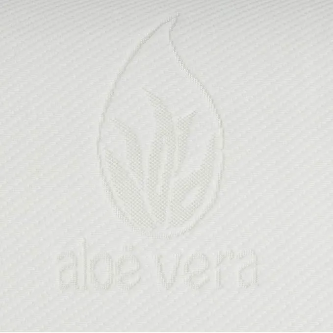 Aloe verra pillow