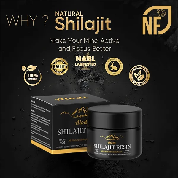 Découvrez les bienfaits du SHILAJIT qui changent la vie !