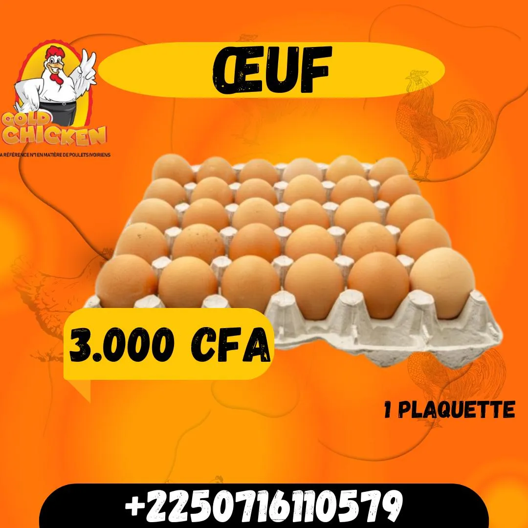 store