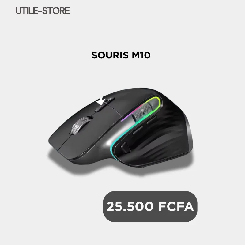 SOURIS M10